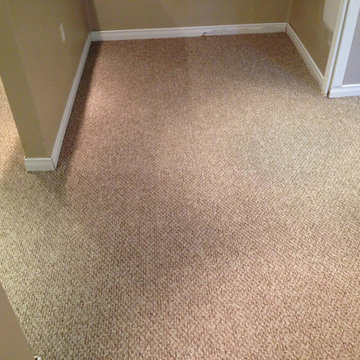 Carpet Installation
