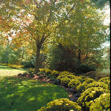 Backyard Spaces