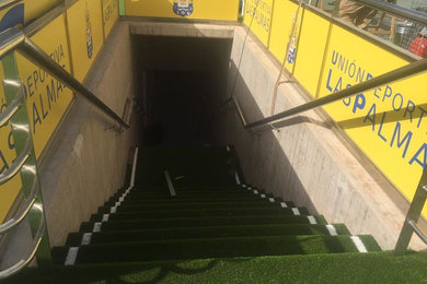 CORSÚA Y LA UD LAS PALMAS
