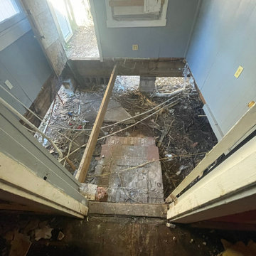 Termite Damage Is at it Again