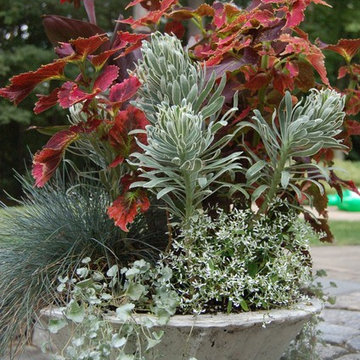 container plantings for summer