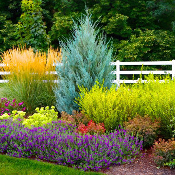 Landscape Installation