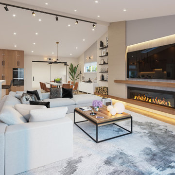 Contemporary House