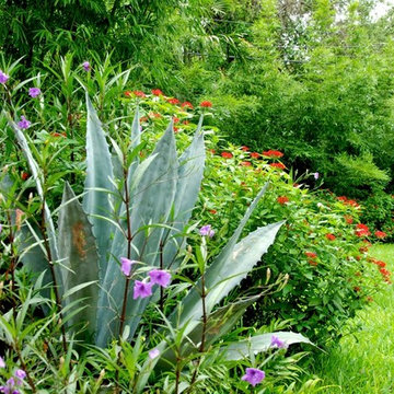 Miami Landscape Design Ideas