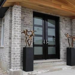 Modern entry system - Front Doors