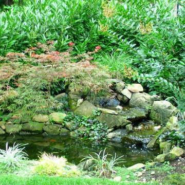 Water Features