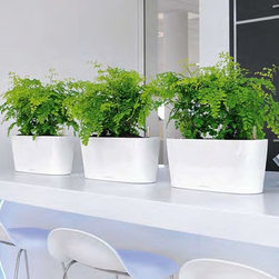 Modern Planter - Home Decor