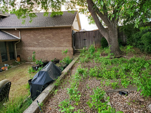 big ugly brick wall in back yard? Also need patio space? Sloped yard?
