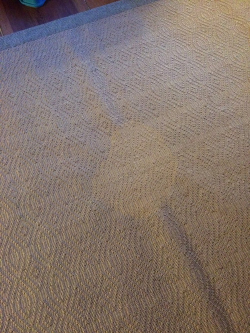 Discolored Jute Rug Help, How To Clean Jute Rug Stain