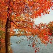 Donna Warin's photo