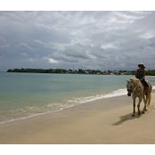Siana Teelucksingh's photo
