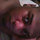 Errol Smith