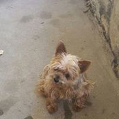 Carletta Cornwell's photo