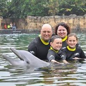 Nancy Henderson's photo