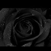 Ann Morris's photo