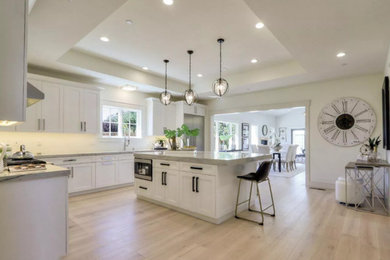 Example of a kitchen design in San Francisco