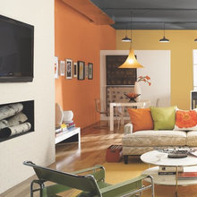 Interior Colors