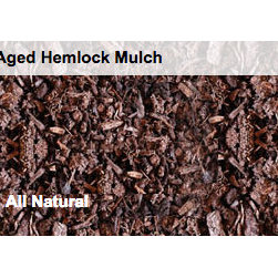 Mulch - Gardening And Lawn Care