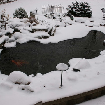 Winter Ponds and Waterfalls