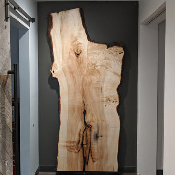 Live Edge Elm Slab Wall Feature