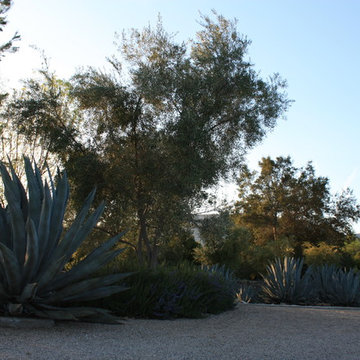 Family Compound