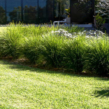 Contemporary Coastal Garden