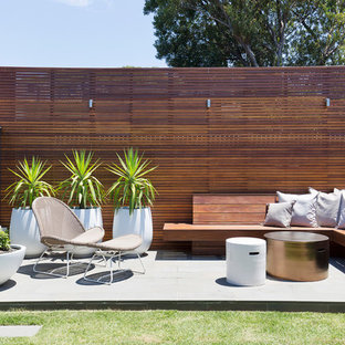 シドニーの中サイズのミッドセンチュリースタイルのおしゃれな裏庭のテラス (コンクリート敷き 、日よけなし) の写真