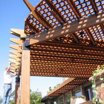 Trellis Addition