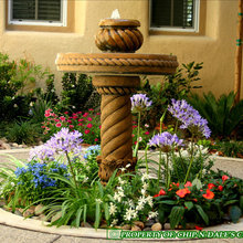 Landscape Ideas