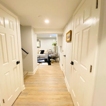 Basement Remodel