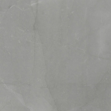 MSI NSAN2424P Sande - 24" Square Floor Tile - Polished Visual - - Gray