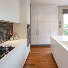 Existing Kitchen Upgrade