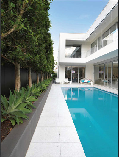 Modern Pool by David Edelman Architects