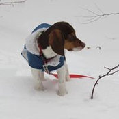 Isabelle Simoneau's photo