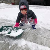 Tracy Diamond's photo