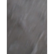 Joel Friedman's photo