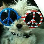 Dolce Wells's photo