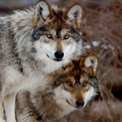 Julie Kier's photo