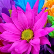 Judy Johnson's photo