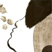 Verena Veitさんの写真