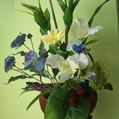 Monserrat Davila's photo