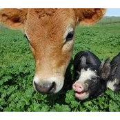 Christie Kissinger's photo