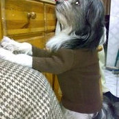 Moustafa Kamel's photo