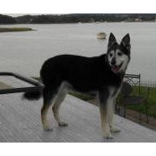 Nancy Nissen Feldschuh's photo