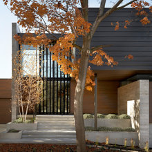 Contemporary