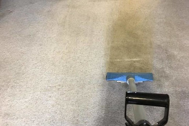 Carpet Stain Removal in Alburqueque, NM