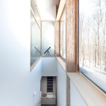 Black Cabin in the Woods — Custom European Wood Windows