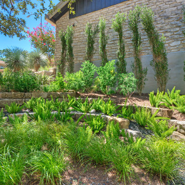Shade Garden 2