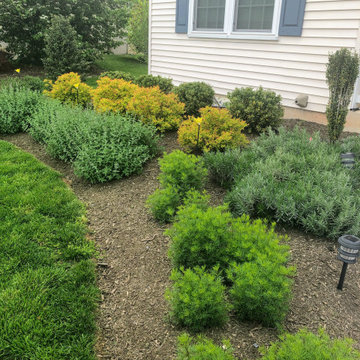 Landscaping