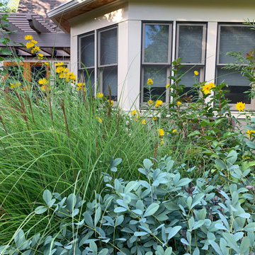 West Boulder Rain Garden, Late Summer